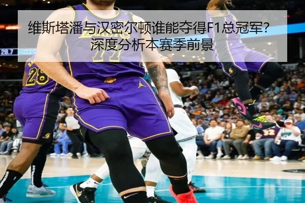 维斯塔潘与汉密尔顿谁能夺得F1总冠军？深度分析本赛季前景